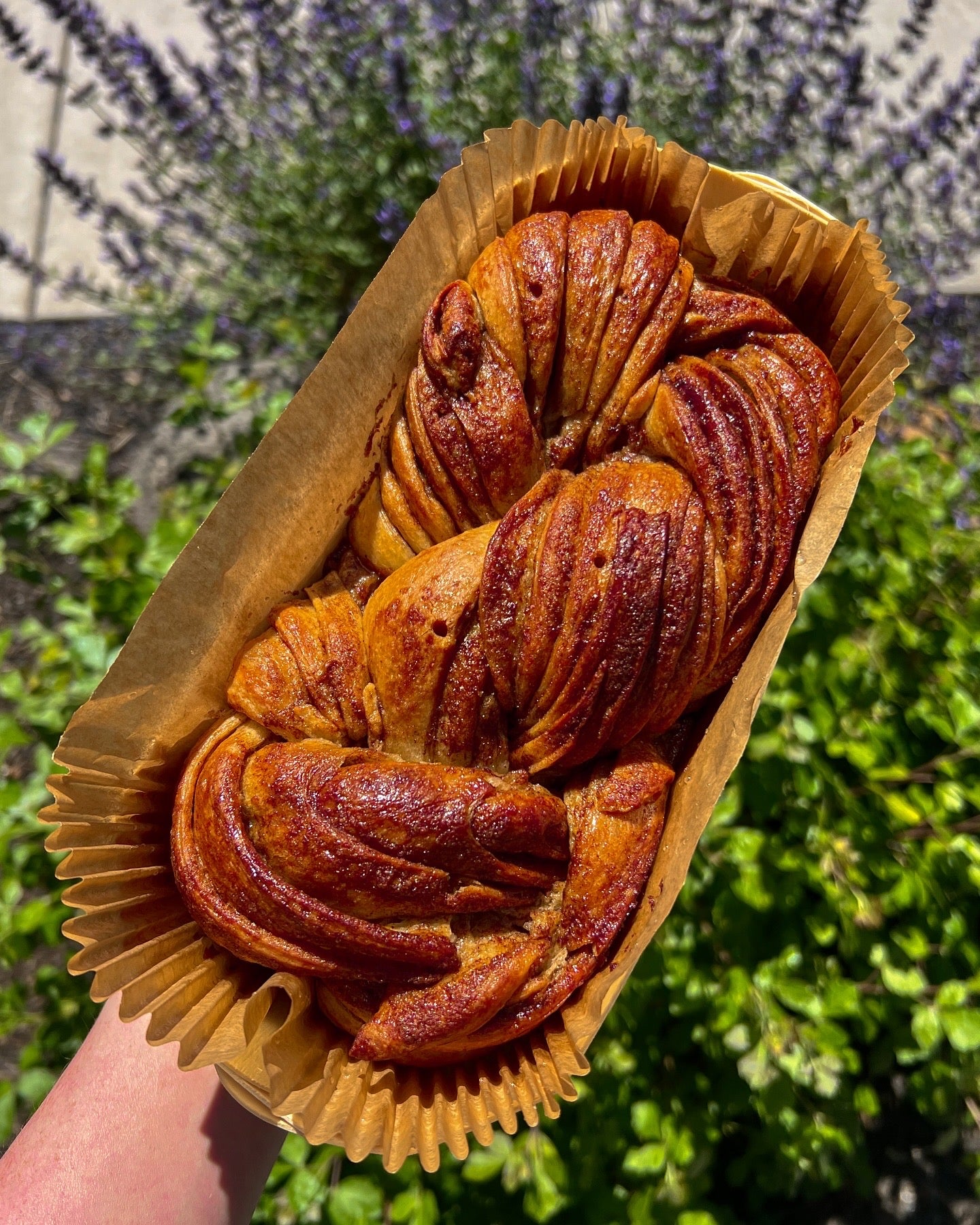 Freshly baked Large Ceylon Cinnamon Babka from Bend's premier Jewish bakery, featuring ribboned swirls of cinnamon and orange zest.