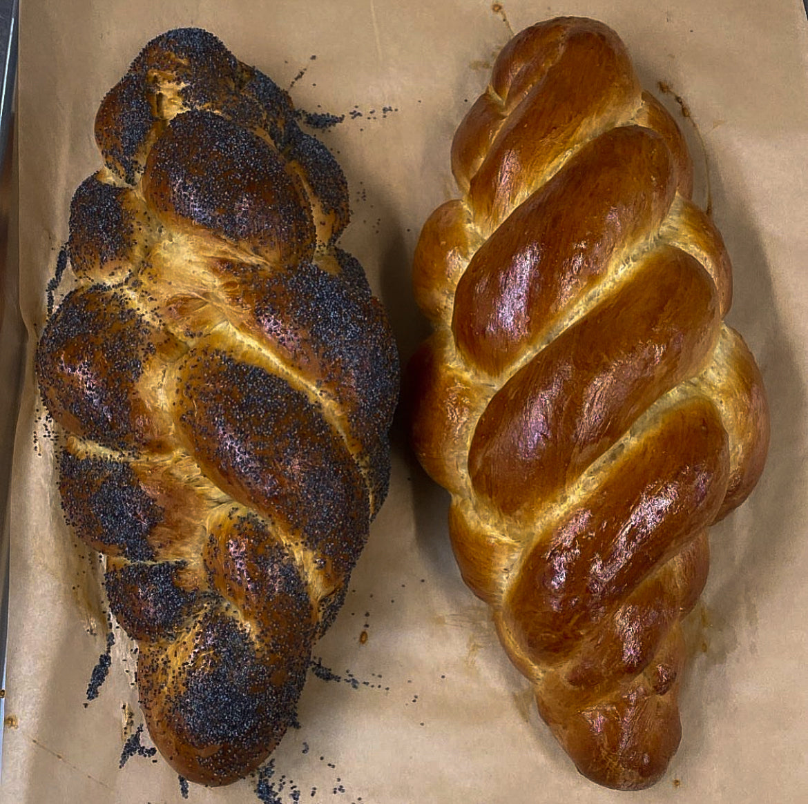 Freshly baked 5-strand braided challah from Bend's premier Jewish bakery, featuring poppyseeds and a golden crust.