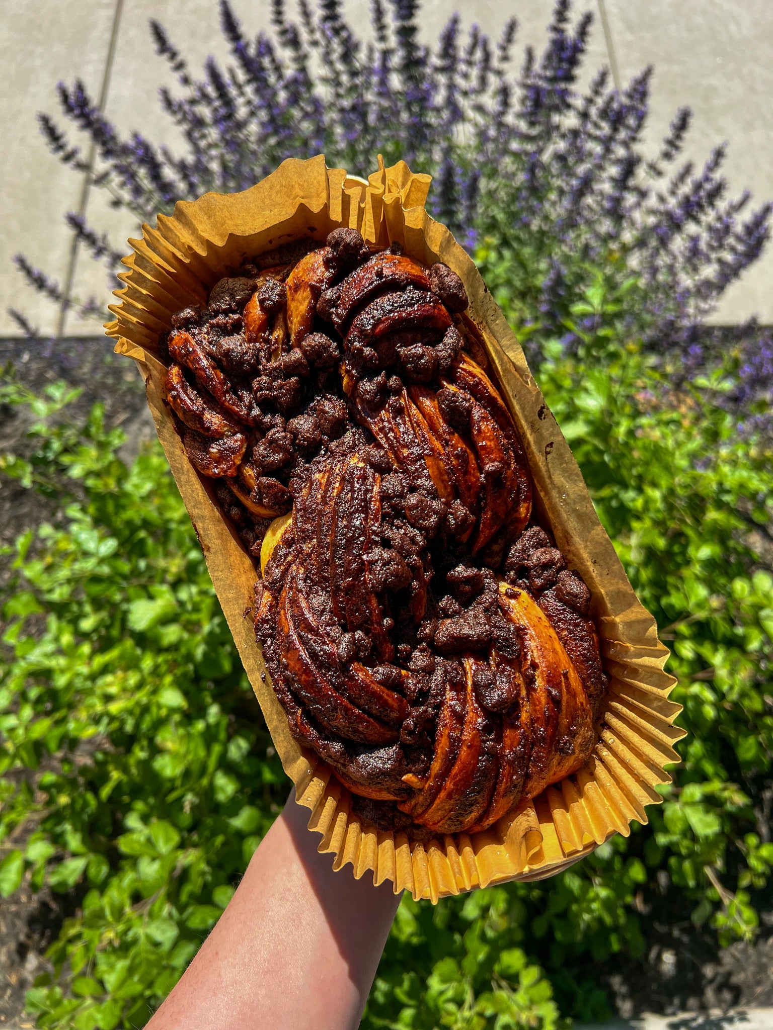 Large Dark Chocolate Babka from Bend's premier Jewish bakery, featuring rich swirls of dark chocolate ganache and lemon zest, topped with chocolate streusel.