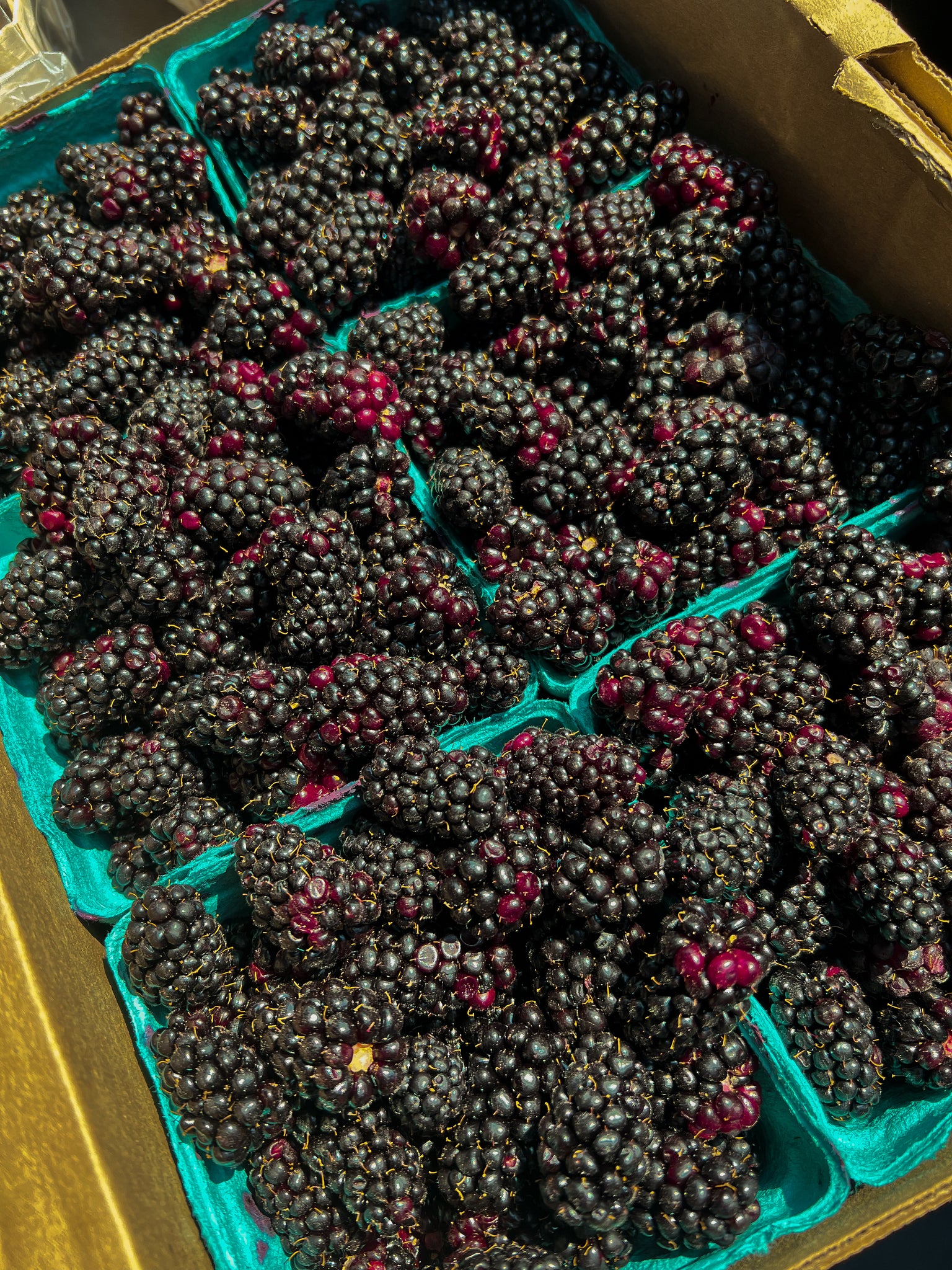 Oregon marionberries from The Vegetable Man in Bend, OR for Bend's Jewish Bakery babka.