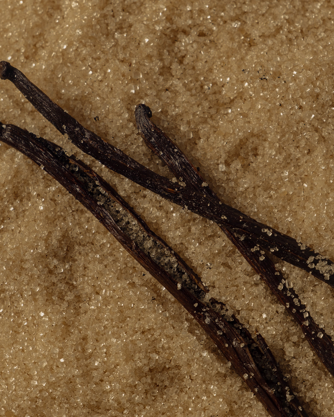 Close up of vanilla beans and sugar for Bend's Jewish Bakery marionberry babka.